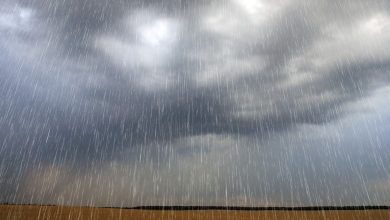 Photo of Maior chuva dos últimos 20 anos deixa moradores desabrigados na PB