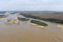 Photo of Água é considerada boa em apenas 6,5% dos rios da Mata Atlântica