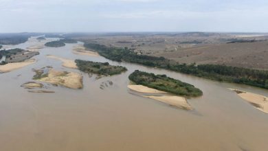 Photo of Água é considerada boa em apenas 6,5% dos rios da Mata Atlântica