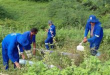 Photo of Após alerta da existência de formigueiro na parede do açude Cachoeira dos Alves, AESA e Cagepa agem rápido para sanar problema…