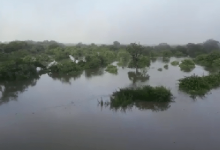 Photo of Rio Piranhas está ‘de barreira a barreira’ em São Bento (PB)