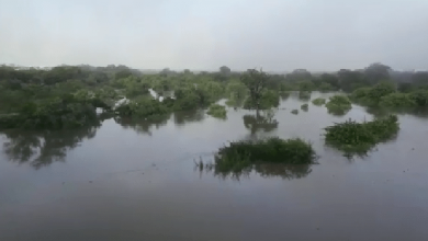 Photo of Rio Piranhas está ‘de barreira a barreira’ em São Bento (PB)