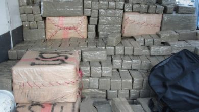 Photo of Polícias apreendem mais de duas toneladas de drogas na Paraíba