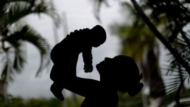 Photo of Vírus da zika pode causar complicações neurológicas