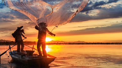 Photo of Ministério cancela quase 300 licenças de pescadores da Paraíba