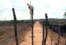 Photo of Governador Decreta Situação de Emergência em vários municípios do Vale do Piancó