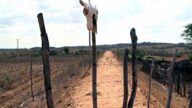 Photo of Governador Decreta Situação de Emergência em vários municípios do Vale do Piancó