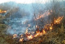 Photo of Mais de 550 incêndios foram registrados no Sertão da Paraíba este ano