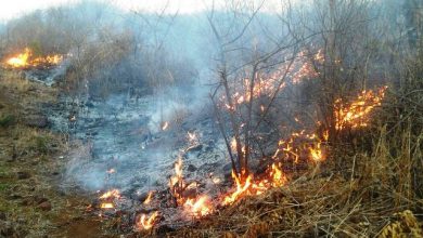 Photo of Mais de 550 incêndios foram registrados no Sertão da Paraíba este ano