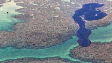 Photo of Localização geográfica ‘protege’ a Paraíba da chegada de grandes manchas de óleo, diz especialista