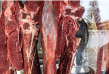 Photo of Preço da carne bovina desacelera e segue em tendência de queda