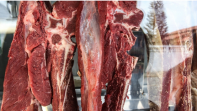 Photo of Preço da carne bovina desacelera e segue em tendência de queda