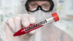 Photo of Pico do Coronavírus no Brasil será entre abril e maio