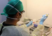 Photo of PB registra 245 casos de coronavírus com três novas mortes em 24 horas