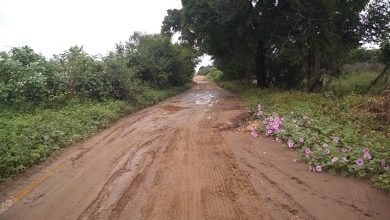 Photo of Vereador Hélio do Bar realiza fiscalização na PB-372 que dá acesso a várias comunidades de Itaporanga