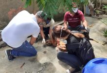Photo of Operação entre PM e Centro de Zoonoses resgatam animais abandonados em Itaporanga