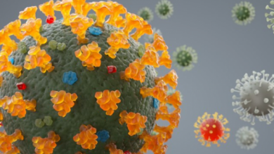 Photo of Variante britânica do novo coronavírus pode ser até 100% mais letal, diz estudo