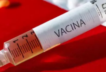 Photo of Candidata a vacina contra Covid-19 começa a ser testada em humanos
