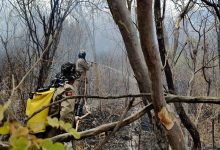 Photo of Corpo de Bombeiros registra aumento de incêndios em vegetação no Sertão