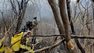 Photo of Corpo de Bombeiros registra aumento de incêndios em vegetação no Sertão