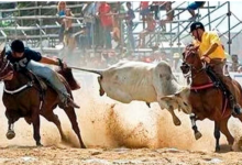 Photo of Decreto autoriza o retorno das vaquejadas e dos eventos agropecuários na Paraíba (PB)