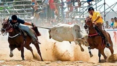 Photo of Decreto autoriza o retorno das vaquejadas e dos eventos agropecuários na Paraíba (PB)