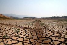 Photo of Diário Oficial: Governo do Estado decreta situação de emergência por estiagem em 148 cidades