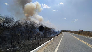 Photo of Queimadas tomam conta de áreas às margens da BR-361 entre Piancó e Itaporanga