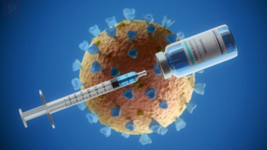 Photo of Clínicas privadas têm acordo para 5 milhões de doses de vacina indiana contra Covid-19