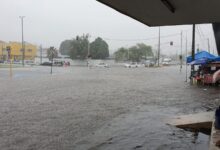 Photo of [VÍDEOS] Forte chuva em João Pessoa causa alagamentos e transtornos no trânsito; carros ficam submersos