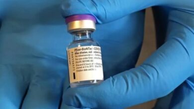 Photo of Vacina da PFizer contra a Covid-19 começa a ser testada em grávidas