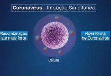 Photo of Contágio por dois tipos de coronavírus pode criar um terceiro, dizem pesquisadores