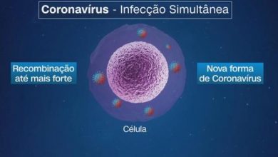 Photo of AstraZeneca pode levar até 9 meses para adaptar vacina a novas variantes do coronavírus
