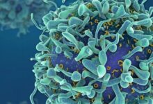 Photo of Cepa britânica pode ser mais letal que vírus original, afirmam cientistas