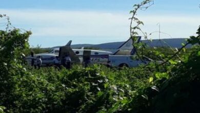 Photo of Avião com vacina para Covid-19 bate em jumento em pista de pouso