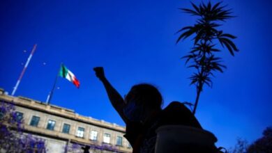 Photo of No México, deputados aprovam legalização da maconha
