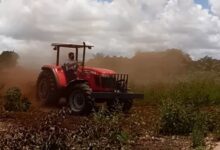 Photo of Manoel Junior põe a “mão na massa” e inicia corte de terras de agricultores em Pedras de Fogo; veja vídeo