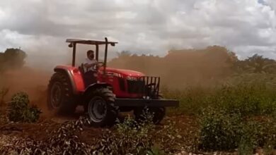 Photo of Manoel Junior põe a “mão na massa” e inicia corte de terras de agricultores em Pedras de Fogo; veja vídeo