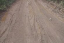 Photo of ASSISTA: Prefeitura de Itaporanga realiza manutenção das estradas rurais,  mesmo no período chuvoso