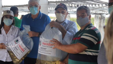 Photo of Assista: Estado da Paraíba distribui alevinos para os municípios do Vale do Piancó