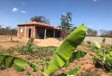 Photo of Vende-se chácara no sítio lagoa do mato a 5km da rua com casa construída em  Itaporanga