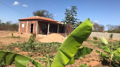 Photo of Vende-se chácara no sítio lagoa do mato a 5km da rua com casa construída em  Itaporanga