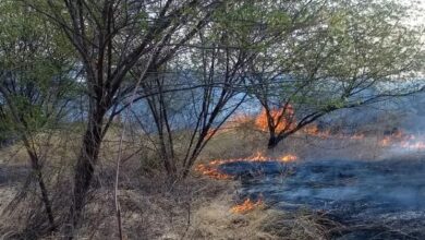 Photo of Cresce o número de  incêndio de grandes proporções na vegetação em Itaporanga e no Vale do Piancó