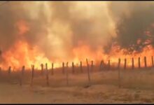 Photo of Municípios no Vale do Piancó entram em alerta de baixa umidade e risco de incêndio