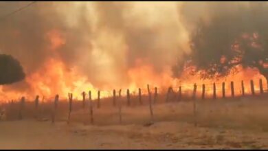 Photo of Inmet alerta para baixa umidade e risco de incêndio florestal no Sertão da Paraíba