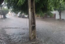 Photo of Chove 78,6 mm em Pombal (PB)