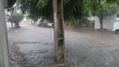 Photo of Chove 78,6 mm em Pombal (PB)