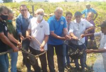 Photo of Pisicultura de Itaporanga celebra 35 anos de pioneirismo na criação e produção  de peixes no Vale do Piancó