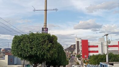 Photo of Prefeitura de Itaporanga realiza limpeza, podas nas árvores e pinturas em canteiros da cidade