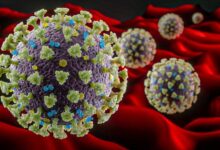 Photo of Urgente: França detecta nova variante “IHU” do novo Coronavírus